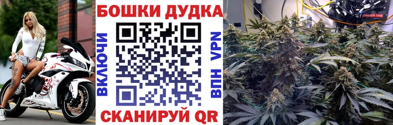 Виды наркоты Купино КОКАИН Меф Канабис