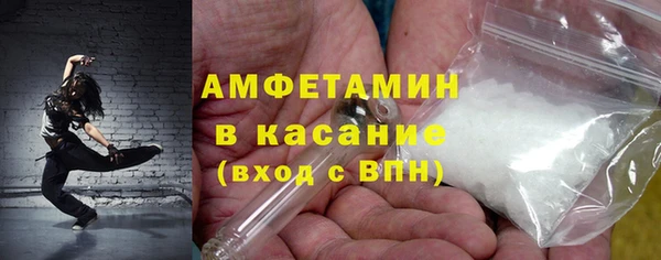 прущие грибы Беломорск