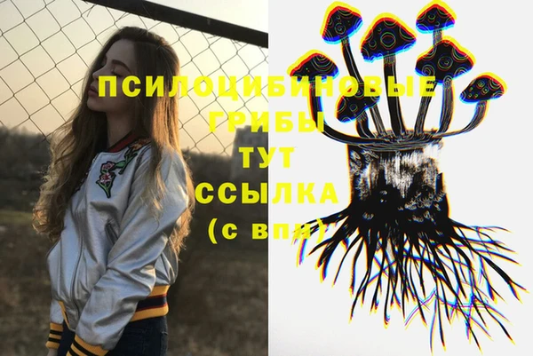 экстази Белокуриха