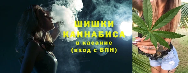 прущие грибы Беломорск