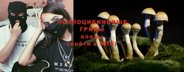 прущие грибы Беломорск