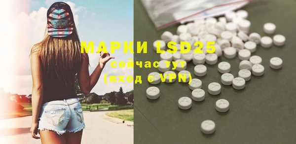 прущие грибы Беломорск