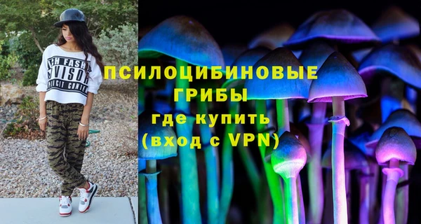 экстази Белокуриха