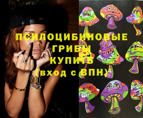 прущие грибы Беломорск