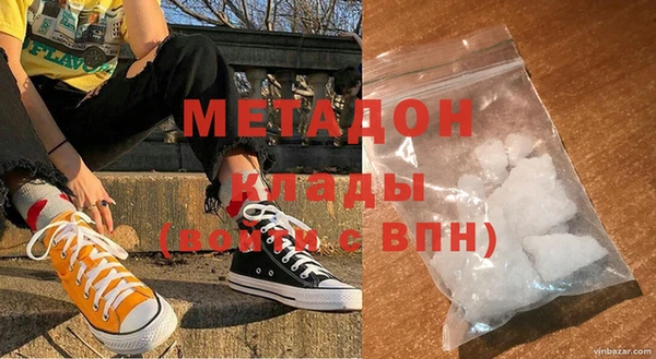 прущие грибы Беломорск