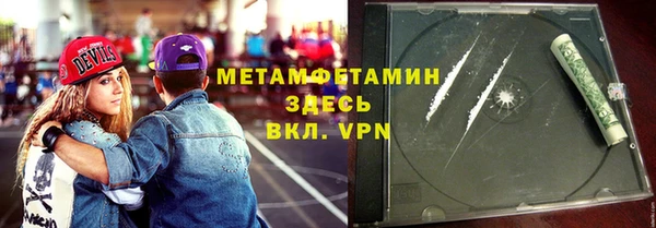 прущие грибы Беломорск