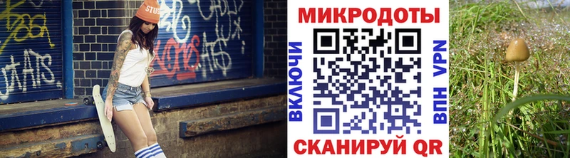 Галлюциногенные грибы прущие грибы  Купино 